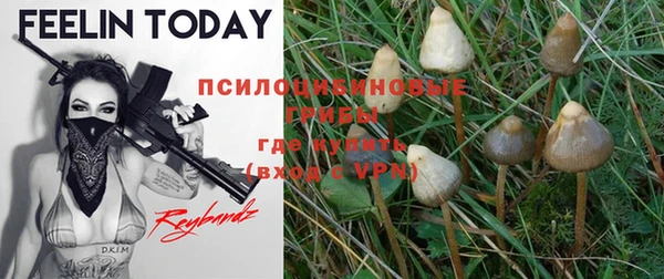 дурь Балахна